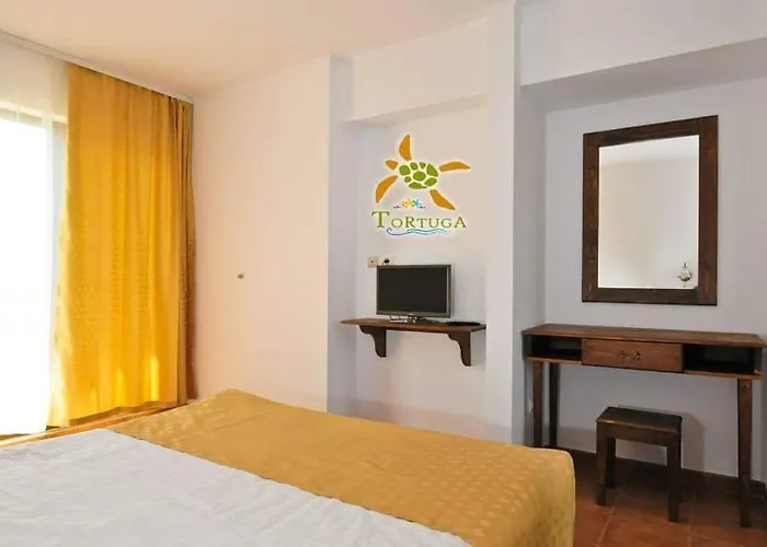 Tortuga Motel Costinesti