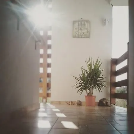 Tortuga