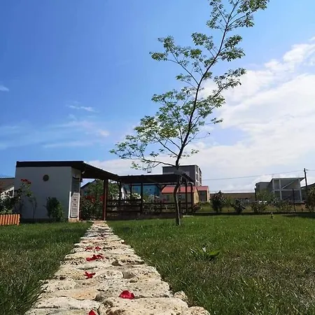 Tortuga Costinesti