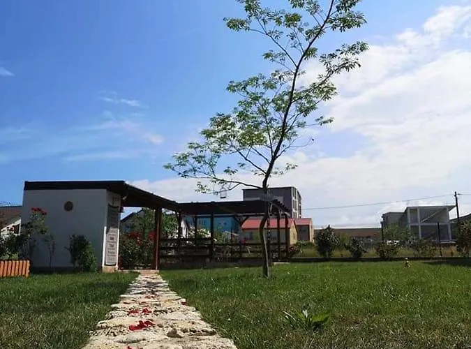 Tortuga 코스티네스티